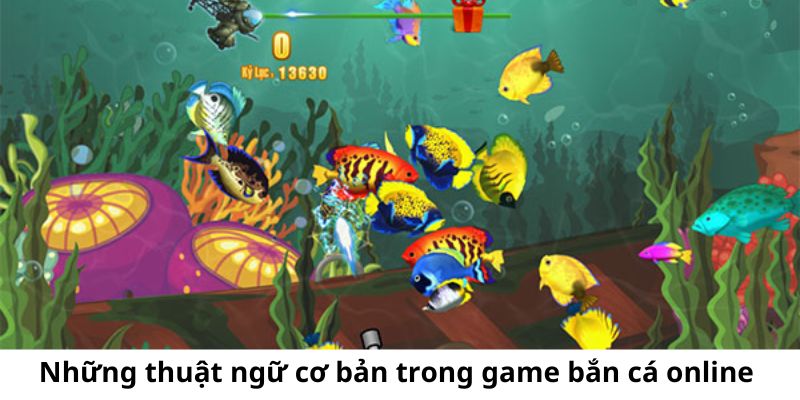 Một số thuật ngữ cơ bản mà người chơi cần nắm được khi tham gia bắn cá 